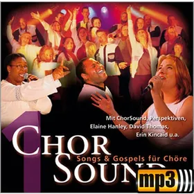 Produktbild des Artikels Salvation (MP3-Track - Download)