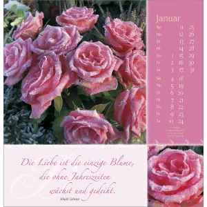 Produktbild des Artikels Rosenduft mit guten Wünschen 2026 - Wandkalender (Kalender - Spiralbindung)