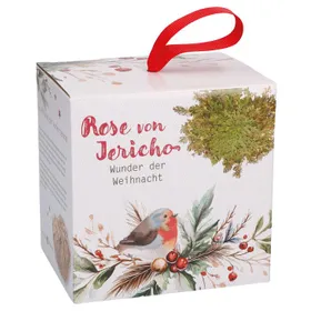 Produktbild des Artikels Wunder der Weihnacht - Rose von Jericho ()