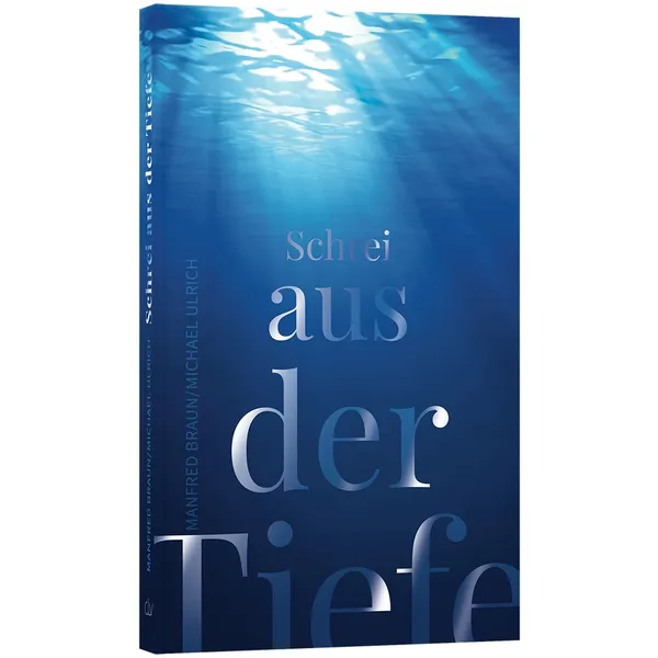 Produktbild des Artikels Schrei aus der Tiefe (Buch - Taschenbuch)
