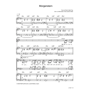 Produktbild des Artikels Morgenstern (Noten - Download)