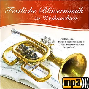 Produktbild des Artikels Wie schön leuchtet der Morgenstern (MP3-Track - Download)