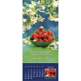 Stimmungsbild zu Augenblick mal 2026 - Aufstellkalender