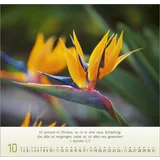 Stimmungsbild zu Blumen-Impressionen 2026 - Wandkalender