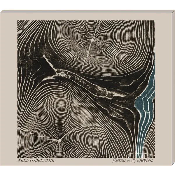 Produktbild des Artikels Rivers In The Wasteland (Audio - CD)