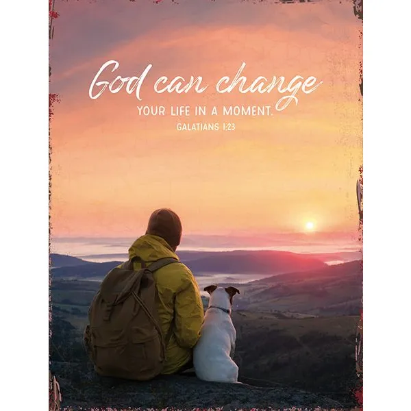 Produktbild des Artikels Metallschild groß - God can change ()