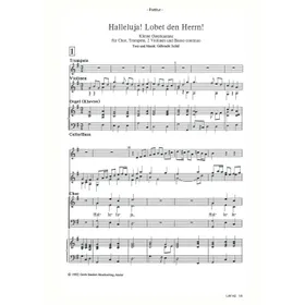 Produktbild des Artikels Halleluja! Lobet den Herrn (Noten - Download)