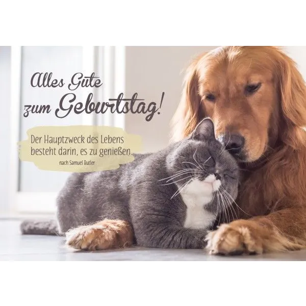 Produktbild des Artikels Faltkarte - Alles Gute zum Geburtstag! (Schreibwaren)