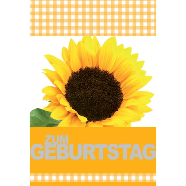 Produktbild des Artikels Faltkarte "Zum Geburtstag" Sonnenblume - 5 Stück (Schreibwaren)
