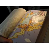 Stimmungsbild zu Die Bibel mit Bildern zu Wundern