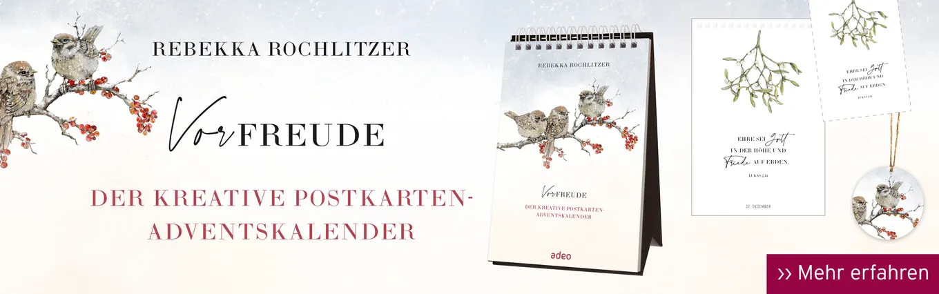 Banner zu Rochlitzer
