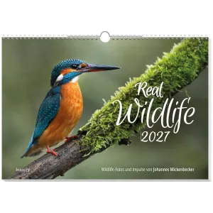 Produktbild des Artikels Real Wildlife 2027 - Wandkalender (Kalender - Spiralbindung)