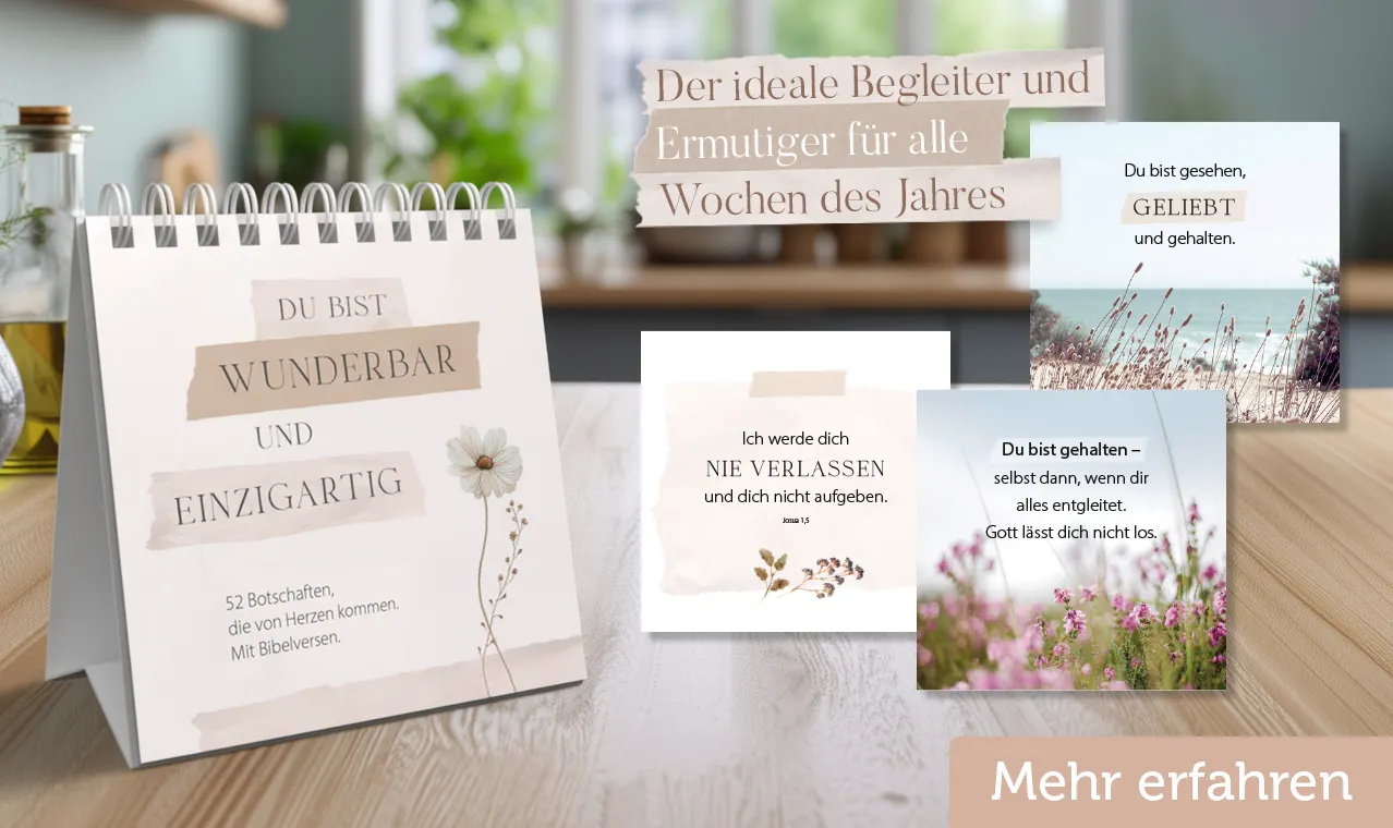 Banner Servietten Gesegnete Weihnachten