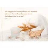 Stimmungsbild zu Das Licht kam in die Welt - Postkartenbuch