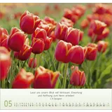 Stimmungsbild zu Blumen-Impressionen 2026 - Wandkalender