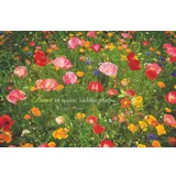 Stimmungsbild zu Garten-Paradiese zum Träumen