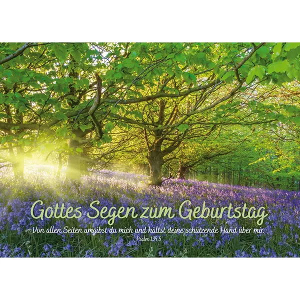 Produktbild des Artikels Postkarten: Gottes Segen zum Geburtstag, 4 Stück (Schreibwaren)
