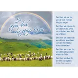Stimmungsbild zu Postkartenbuch: Der gute Hirte führt uns