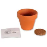 Stimmungsbild zu Blumenüberraschung "Alles Liebe von Herzen"