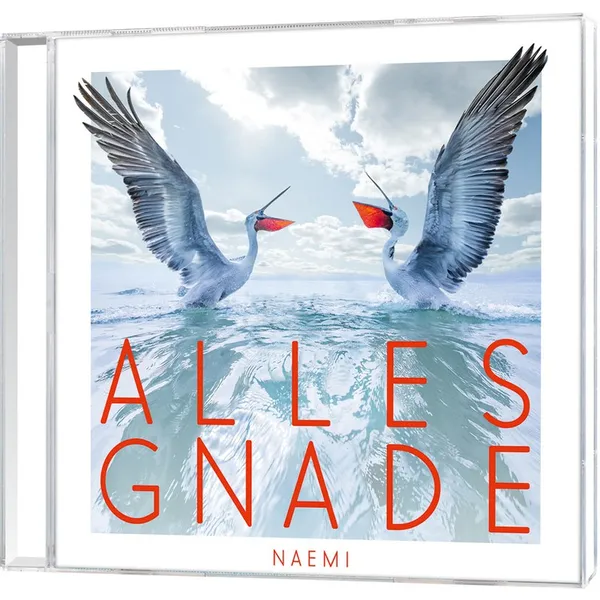 Produktbild des Artikels Alles Gnade (Audio - CD)