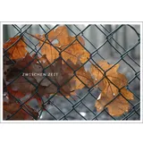 Stimmungsbild zu Postkartenset "TROST:REICH"