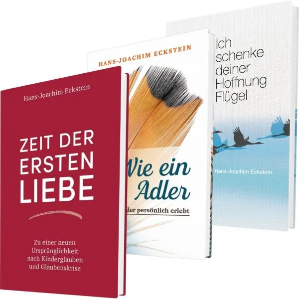Produktbild des Artikels Paket "Hoffnung, Flügel, Adler und erste Liebe" (Buch - Gebunden)