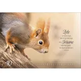 Stimmungsbild zu Real Wildlife 2026 - Wandkalender