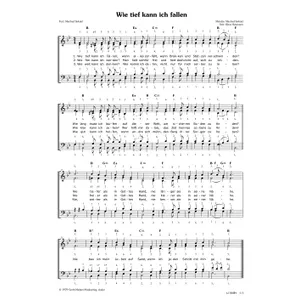 Produktbild des Artikels Wie tief kann ich fallen (Noten - Download)