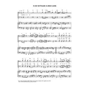 Produktbild des Artikels In dir ist Freude (Noten - Download)