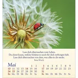 Stimmungsbild zu Licht für deine Seele 2026 - Aufstellkalender