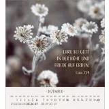 Stimmungsbild zu Zarte Blumengrüße 2026 - Tischkalender