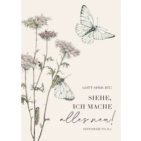 Produktbild des Artikels Jahreslosung 2026 – Download-Poster A4 (PDF - Download)