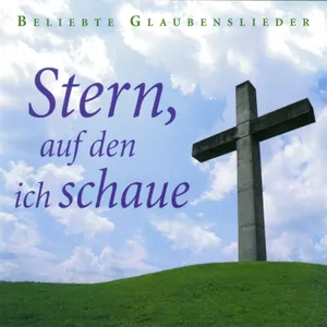 Produktbild des Artikels Stern auf den ich schaue (MP3-Album - Download)