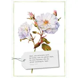 Stimmungsbild zu GartenGlück - Postkartenset