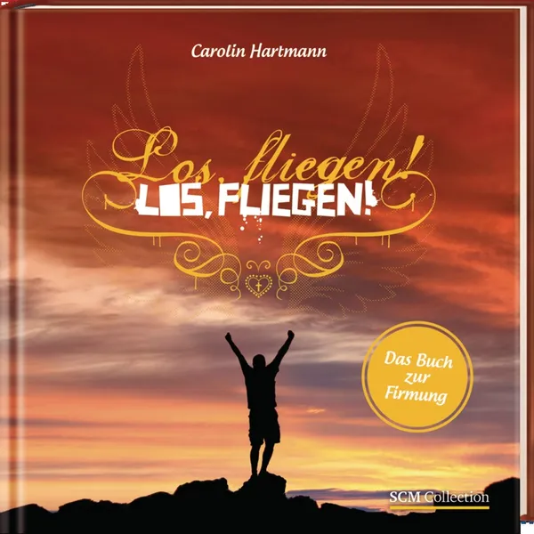 Produktbild des Artikels Los, fliegen! (Buch - Hardcover)