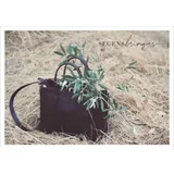 Stimmungsbild zu GastGeschenk - Postkartenset