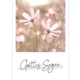 Stimmungsbild zu Unendlich geliebt - Postkartenset