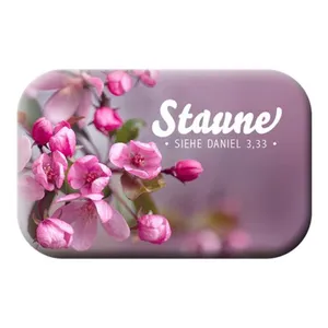 Produktbild des Artikels Magnet - Staune (Schreibwaren)