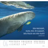 Stimmungsbild zu Beste Freunde 2026 - Posterkalender