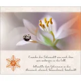 Stimmungsbild zu Ein Licht der Hoffnung für dich - Adventskalender