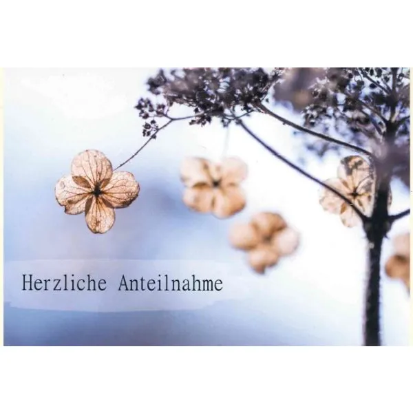 Produktbild des Artikels Faltkarte - Herzliche Anteilnahme (Schreibwaren)