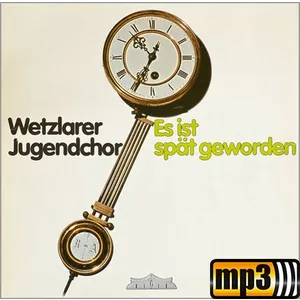 Produktbild des Artikels Es ist spät geworden (MP3-Track - Download)