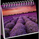 Stimmungsbild zu In 80 Blumen um die Welt - Aufstellbuch
