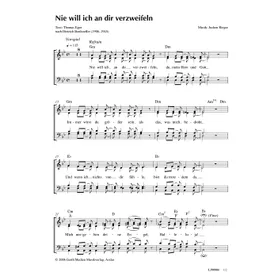 Produktbild des Artikels Nie will ich an dir verzweifeln (Noten - Download)