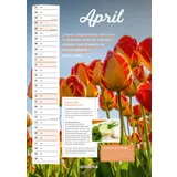 Stimmungsbild zu Der andersLEBEN-Kalender 2026