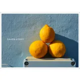 Stimmungsbild zu Postkartenbuch "MIT:BRINGSEL"