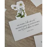 Stimmungsbild zu WiesenTraum