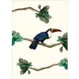 Stimmungsbild zu Grüße aus dem Paradies - Postkartenbox