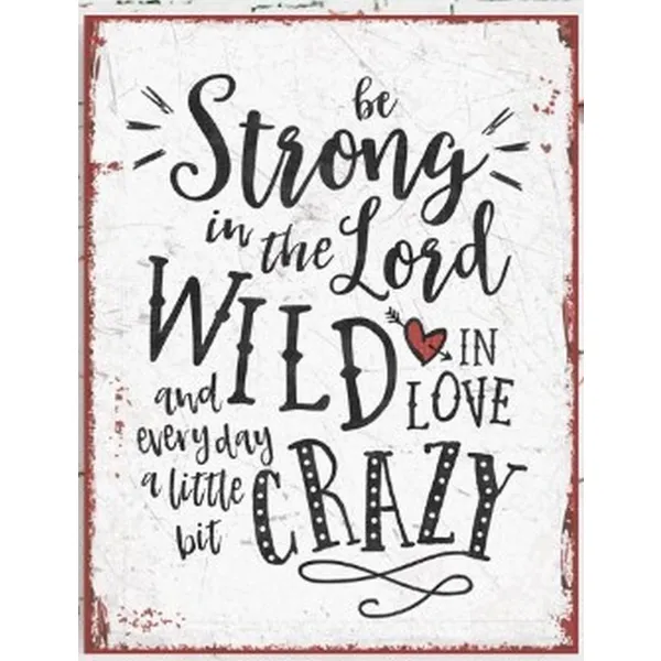 Produktbild des Artikels Metallschild groß - A little bit crazy ()