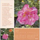 Stimmungsbild zu Rosenduft mit lieben Wünschen 2026 - Postkartenkalender
